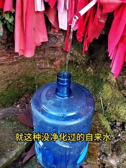水質問題如何檢測？ 水質問題如何檢測？ 龍魚百科 第5張