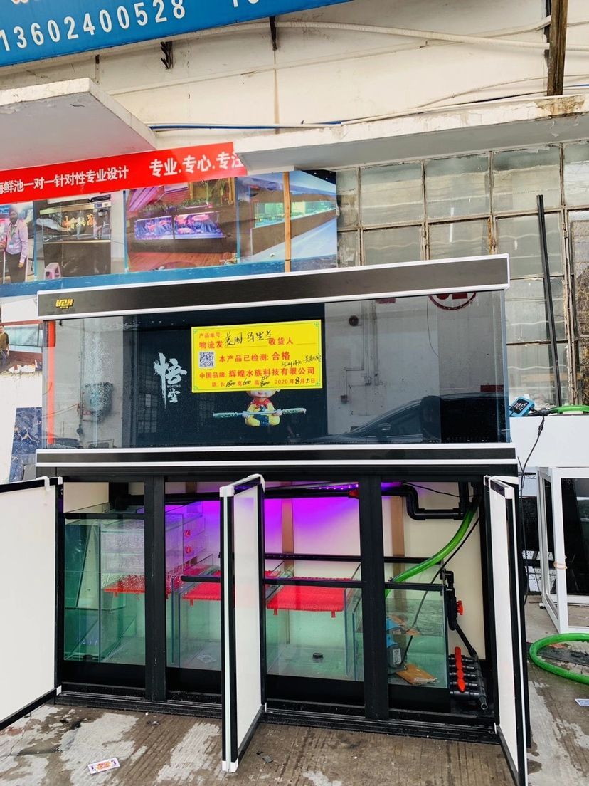 唐山水族館走出國門:黑白結(jié)合經(jīng)典