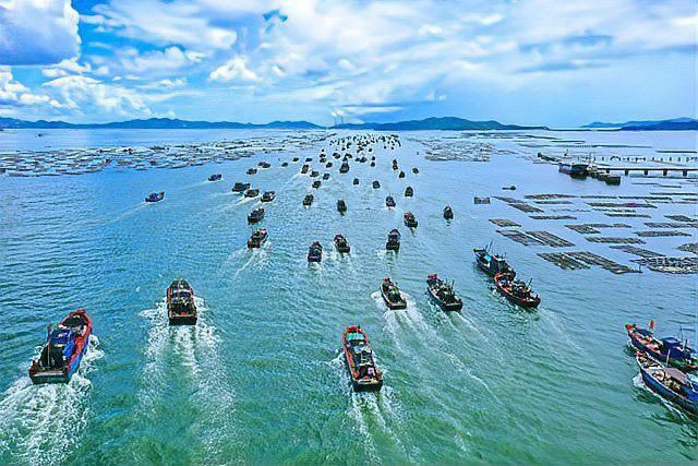 廣東金龍魚養殖基地在哪里有