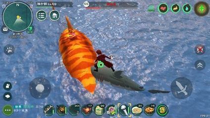 紅龍魚用什么背景養比較好（養紅龍魚時，背景顏色的選擇對魚的發色有顯著影響）