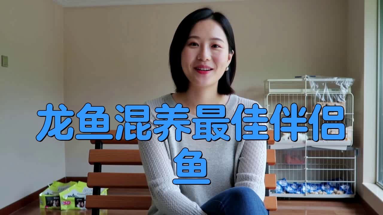 古典龍魚混養搭配