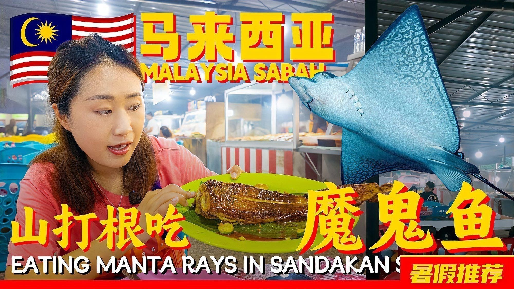 馬來西亞什么魚好吃 馬來西亞什么魚好吃 龍魚百科 第4張