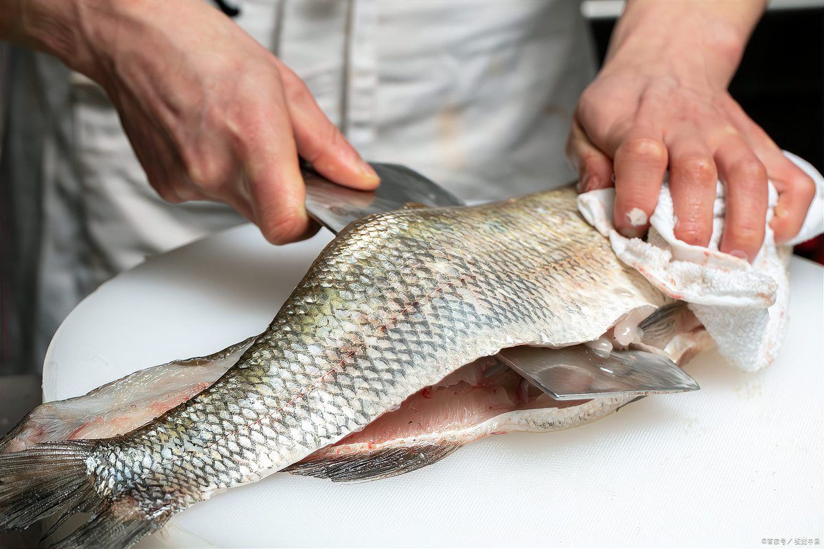 烏魚和龍魚哪個(gè)沒有刺