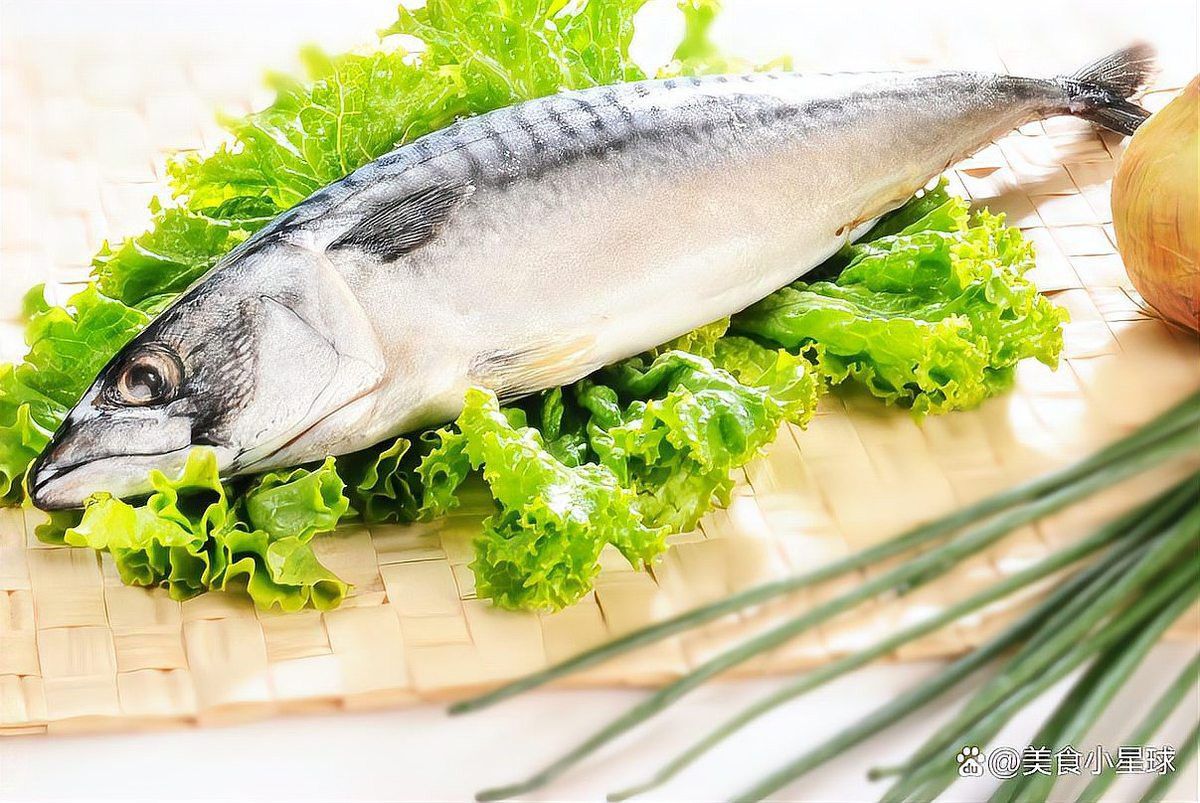 烏魚和龍魚哪個(gè)沒有刺