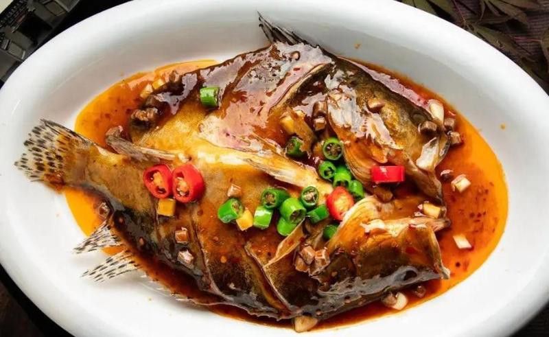 金龍魚和食人魚混養可以嗎：金龍魚與食人魚混養的挑戰與技巧 金龍魚和食人魚混養可以嗎：金龍魚與食人魚混養的挑戰與技巧 龍魚百科 第8張