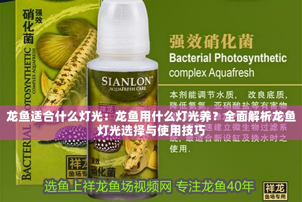 龍魚(yú)適合什么燈光：龍魚(yú)用什么燈光養(yǎng)？全面解析龍魚(yú)燈光選擇與使用技巧