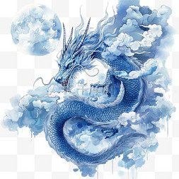 青龍符有哪些種類 青龍符有哪些種類 龍魚百科 第5張