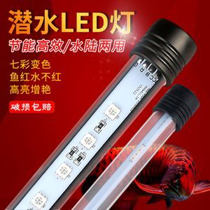 龍魚燈管好還是led燈好看點：\"龍魚燈管好還是led燈好看點