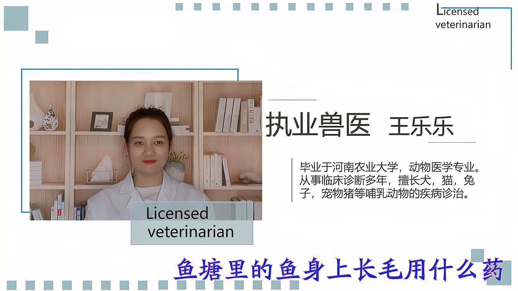 六角恐龍魚換水時需要加入什么嗎？ 六角恐龍魚換水時需要加入什么嗎？ 龍魚百科 第4張