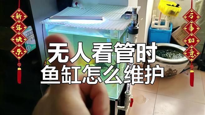 魚缸的清潔和維護注意事項