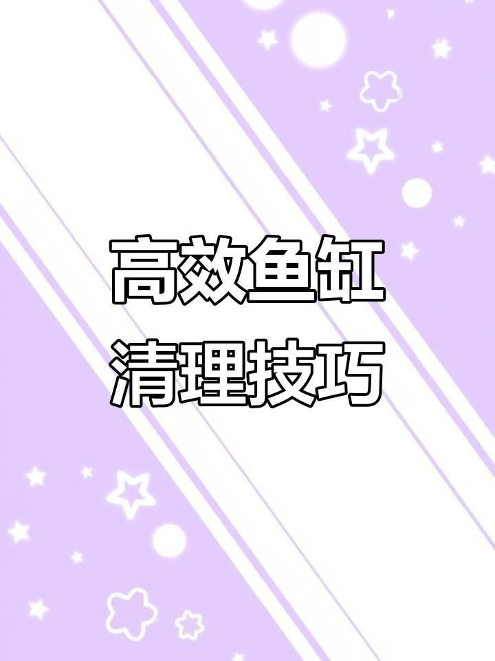 魚缸的清潔和維護注意事項