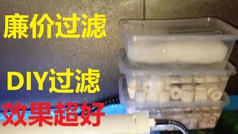 養一條雷龍魚用什么過濾器：養雷龍魚時，過濾器的選擇是非常重要的一步