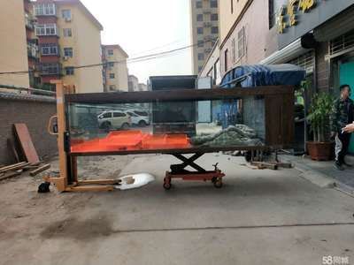 龍魚魚缸搬家需要注意什么問題：龍魚搬家后多久適應新環境,如何選擇合適的魚缸搬運服務