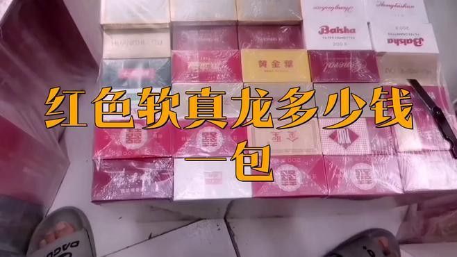 紅色真龍軟包有哪些系列？ 紅色真龍軟包有哪些系列？ 龍魚百科 第6張