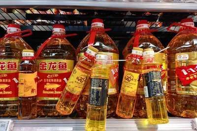 金龍魚業績預告，金龍魚業績預告：預計2023年實現營業利潤同比增長約56.4%
