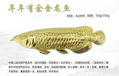 金龍魚吉祥物（金龍魚吉祥物的設計靈感來源） 金龍魚吉祥物（金龍魚吉祥物的設計靈感來源） 龍魚百科 第4張