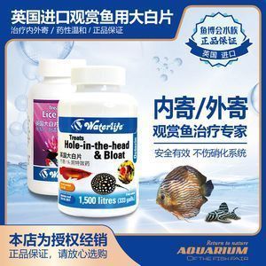 龍魚的養護與鑒賞方法：龍魚養護與鑒賞