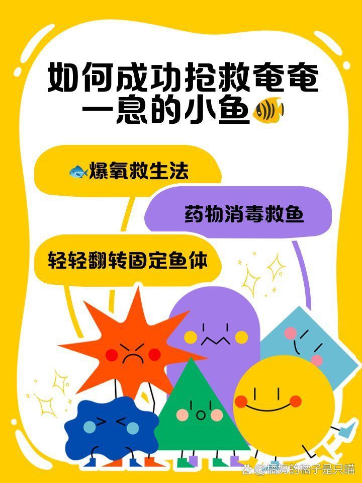 金魚奄奄一息如何急救