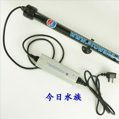 御龍國際龍魚燈怎么樣（御龍國際的龍魚燈在用戶中享有較好的口碑）