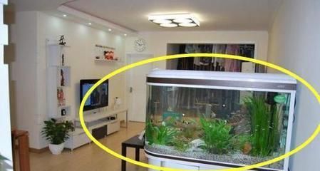 套房魚缸的最佳擺放位置（客廳魚缸擺放的風水講究書房魚缸擺放的風水技巧）