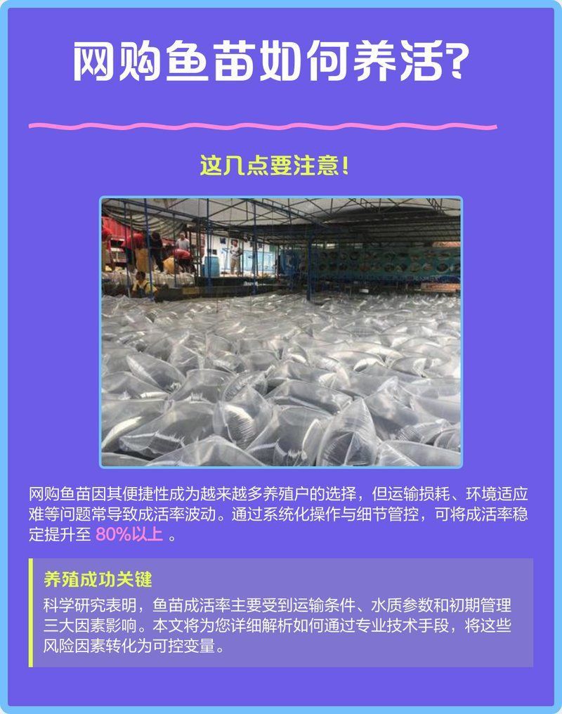 草魚苗批發有哪些注意事項？