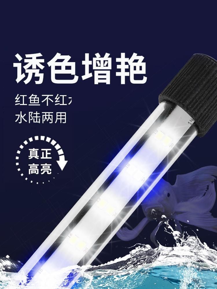 龍魚燈用什么顏色好看圖片大全