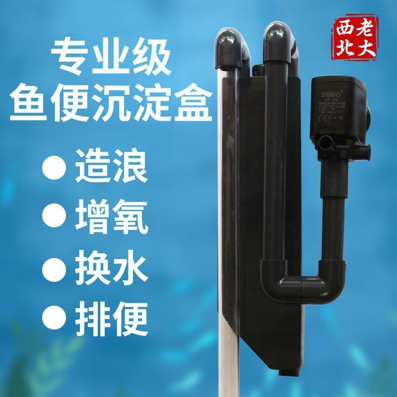 sebo魚缸過濾器怎么安裝（sebo過濾器維護周期魚缸過濾器選型指南） sebo魚缸過濾器怎么安裝（sebo過濾器維護周期魚缸過濾器選型指南） 龍魚百科 第1張