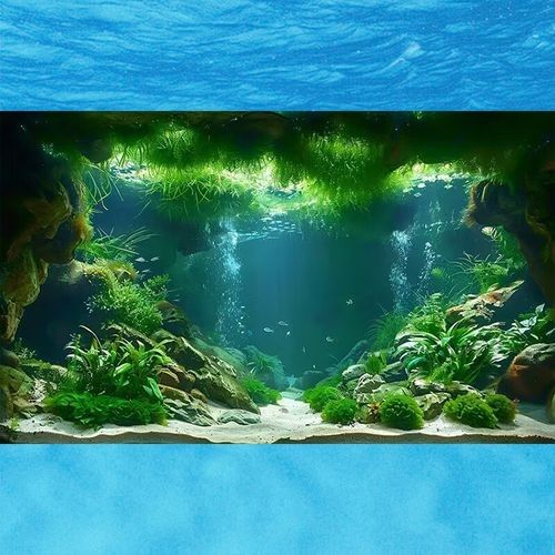 龍魚魚缸背景圖片大全超清視頻 龍魚魚缸背景圖片大全超清視頻 龍魚百科 第18張