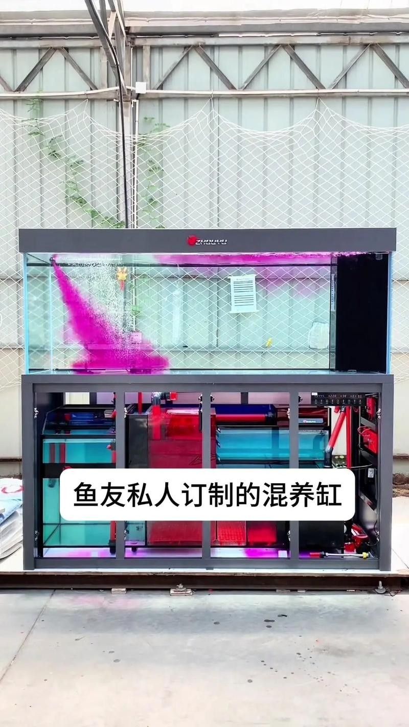 龍魚魚缸背景圖片大全超清視頻 龍魚魚缸背景圖片大全超清視頻 龍魚百科 第26張