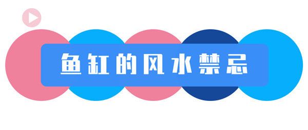 紅龍魚(yú)都喂什么魚(yú)食好吃（紅龍魚(yú)都喂什么魚(yú)食好吃呢）