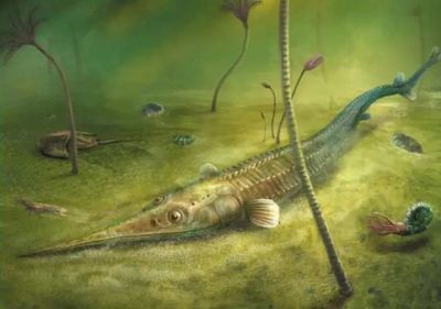 古生物龍魚是怎樣的存在？：“古生物龍魚”是一個涵蓋多個方面的主題 古生物龍魚是怎樣的存在？：“古生物龍魚”是一個涵蓋多個方面的主題 龍魚百科 第3張