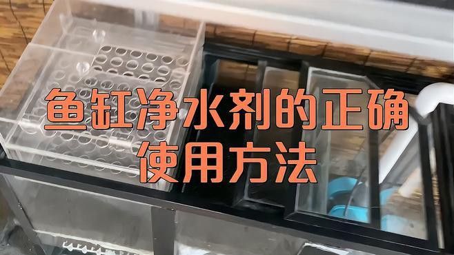 凈水劑對龍魚有害嗎？