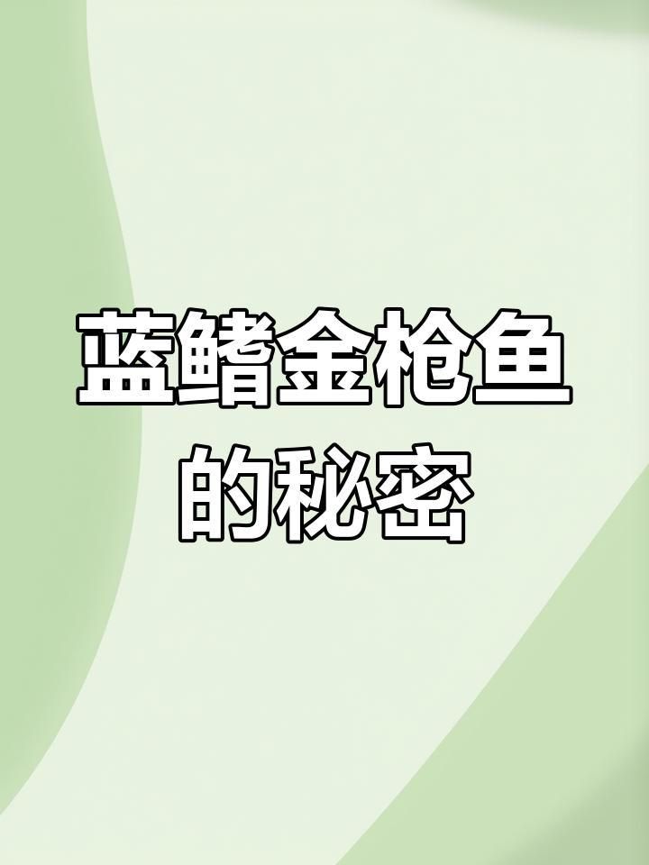 藍鰭金槍魚為什么這么貴？