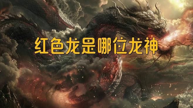 如何拍攝高質(zhì)量的龍魚視頻教程：如何拍攝高質(zhì)量的龍魚視頻