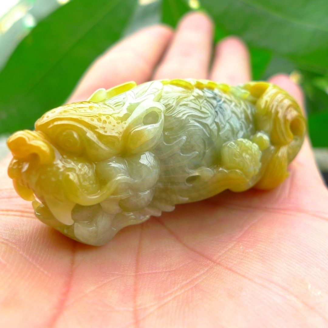 龍頭魚身飾品的價格范圍是多少？ 龍頭魚身飾品的價格范圍是多少？ 龍魚百科 第4張