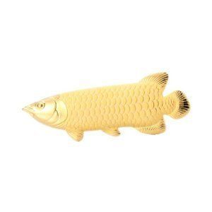 金龍魚魚王多少錢：金龍魚價(jià)格是多少