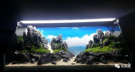 素界魚缸（素界魚缸造景技巧）