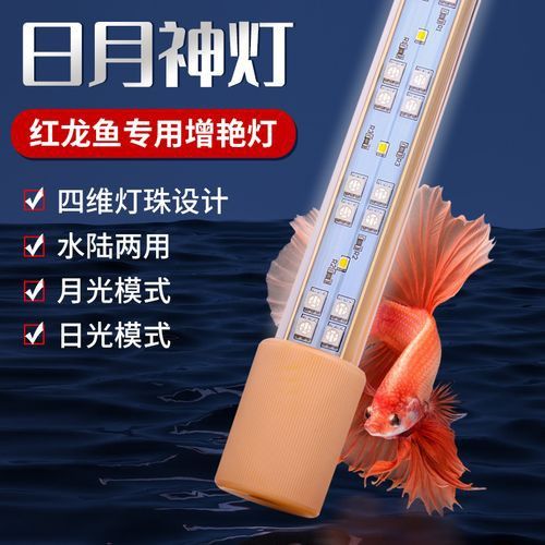 推薦幾款性價比高的LED龍魚燈 推薦幾款性價比高的LED龍魚燈 龍魚百科 第7張