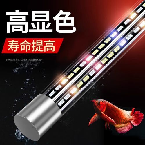 推薦幾款性價比高的LED龍魚燈 推薦幾款性價比高的LED龍魚燈 龍魚百科 第4張