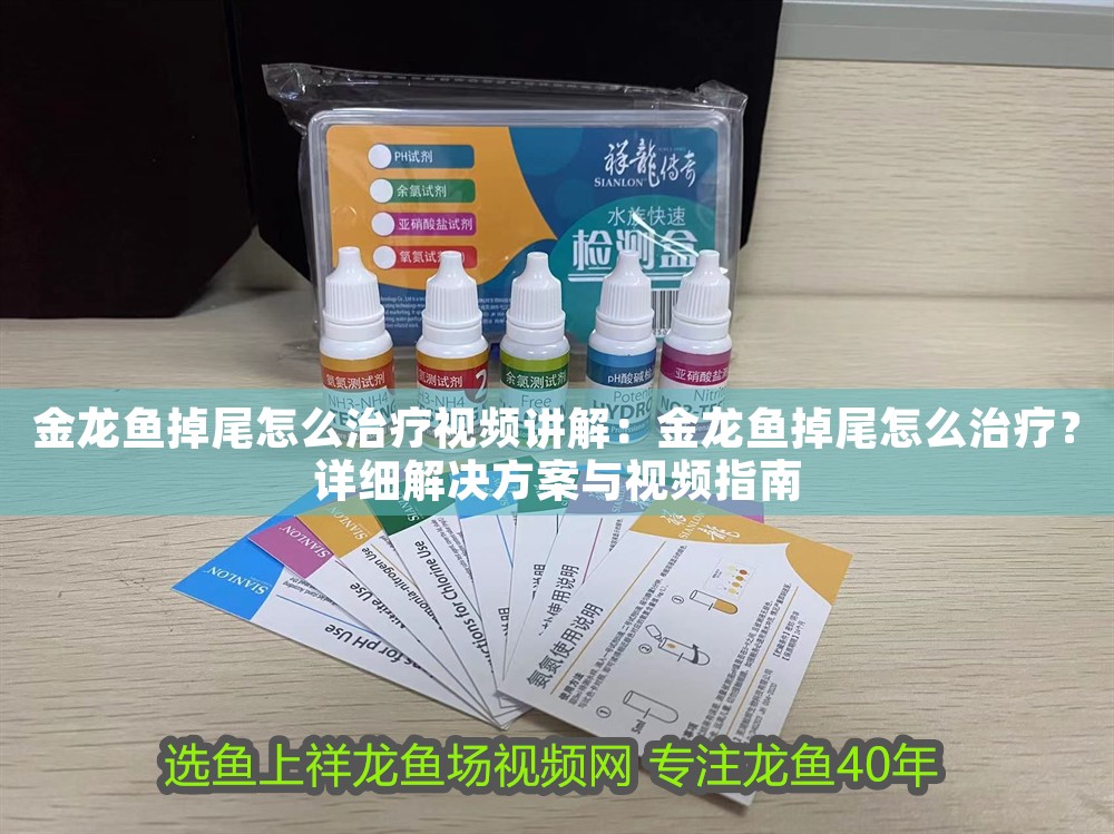 金龍魚掉尾怎么治療視頻講解：金龍魚掉尾怎么治療？詳細解決方案與視頻指南 金龍魚掉尾怎么治療視頻講解：金龍魚掉尾怎么治療？詳細解決方案與視頻指南 龍魚百科 第1張