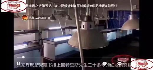 特里斯紅外線批發：深圳市龍華區特里斯萬吉紅外線商貿中心和廣州特里斯紅外線漁場