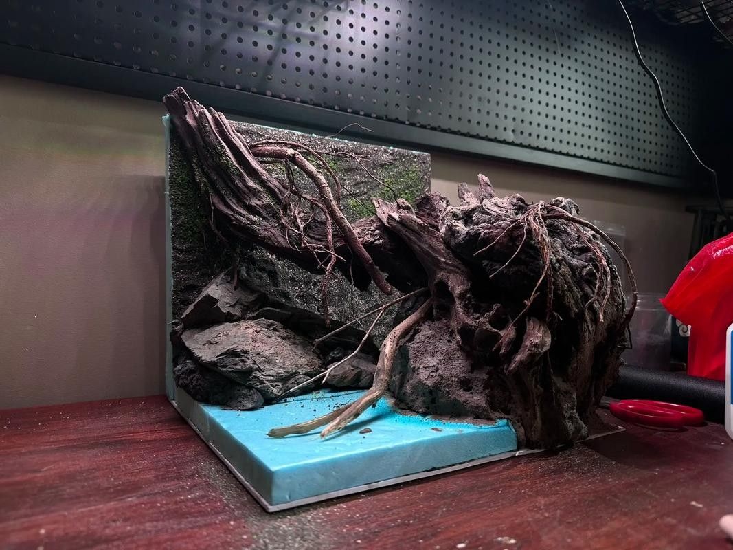 雷龍魚缸造景圖片大全集