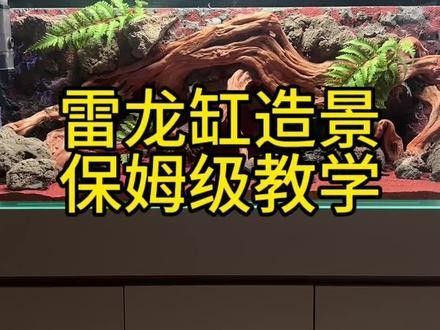雷龍魚缸造景圖片大全集