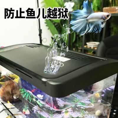 智能魚缸哪個品牌最好