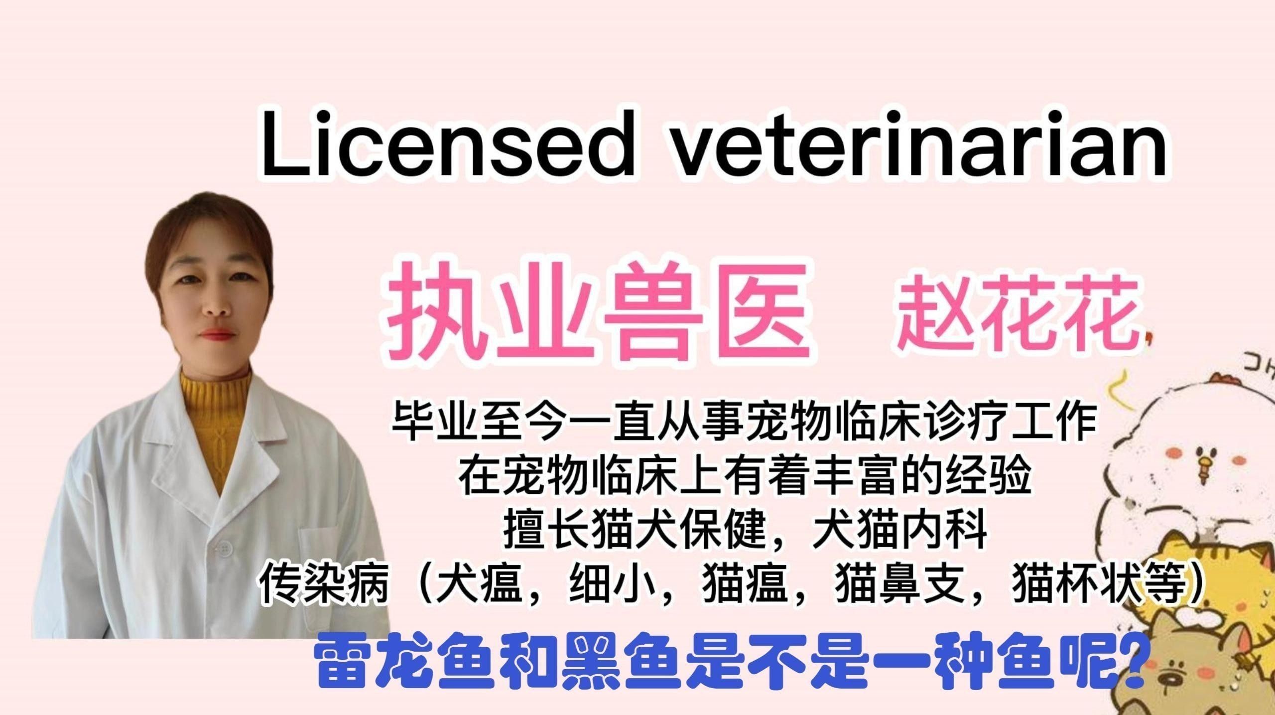 雷龍魚跟黑魚的區(qū)別