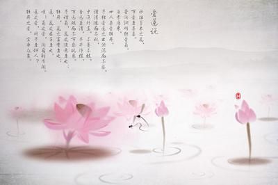 龍魚缸背景圖黑色荷花：龍魚缸背景圖的黑色荷花設計
