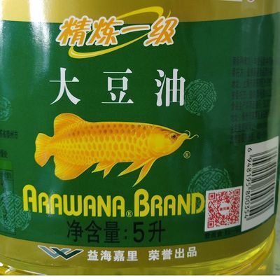 買金龍魚需要注意什么事項，如何挑選健康的金龍魚