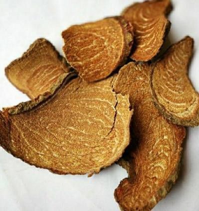 過江龍魚圖片高清大圖