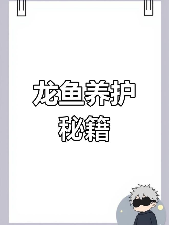 過背金龍珠鱗亮后如何保養(yǎng)？