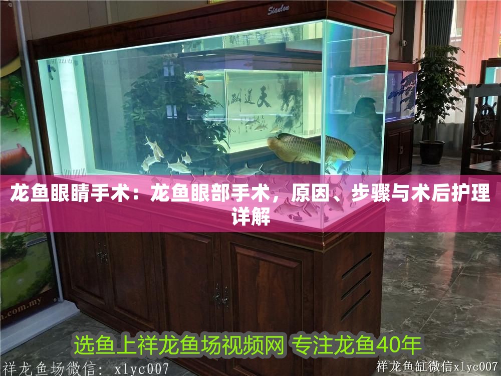 龍魚眼睛手術(shù)：龍魚眼部手術(shù)，原因、步驟與術(shù)后護(hù)理詳解 龍魚眼睛手術(shù)：龍魚眼部手術(shù)，原因、步驟與術(shù)后護(hù)理詳解 龍魚百科 第1張